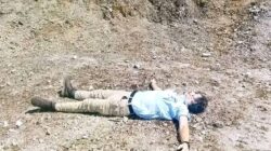TPNPB Klaim Bertanggung Jawab atas Penembakan Pilot dan Pembakaran Pesawat AMA di Yahukimo